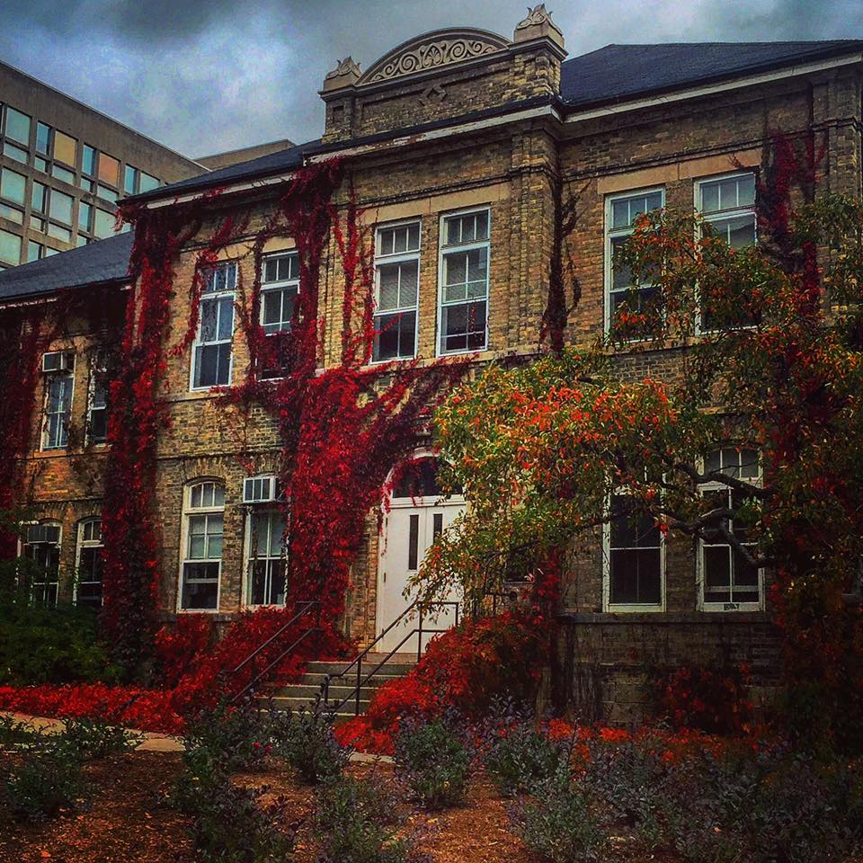 10 Reasons To Love Fall On The University Of Guelph Campus - Society19