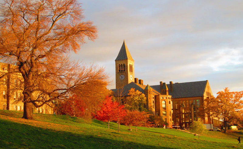 The Ultimate Guide To Cornell University Financial Aid - Society19