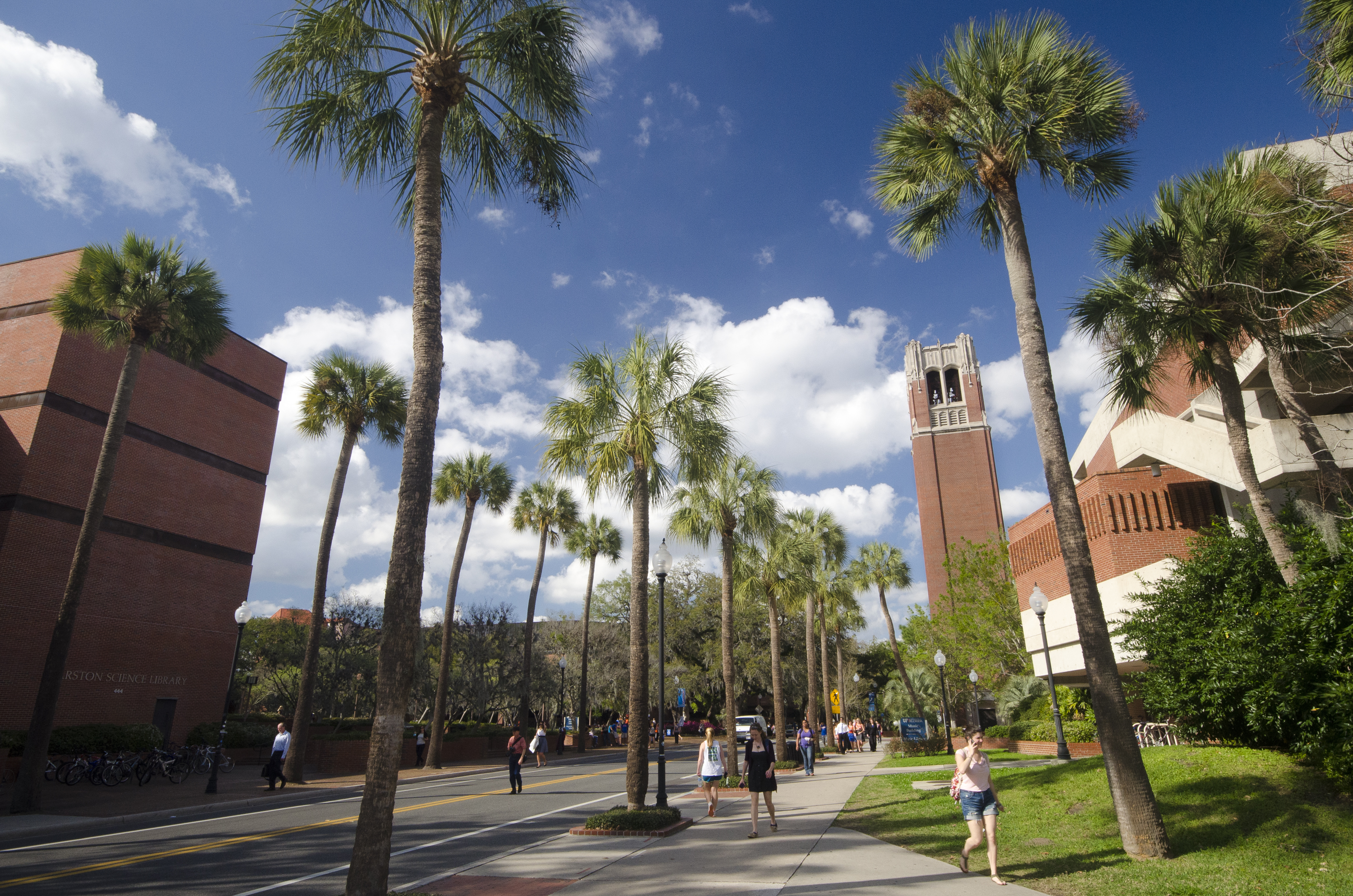 University of south florida. Университет Флориды Гейнсвилл. University of Florida вертикальные картинки. Скважина Юниверсити Флорида фотографии. UF,ehubh.