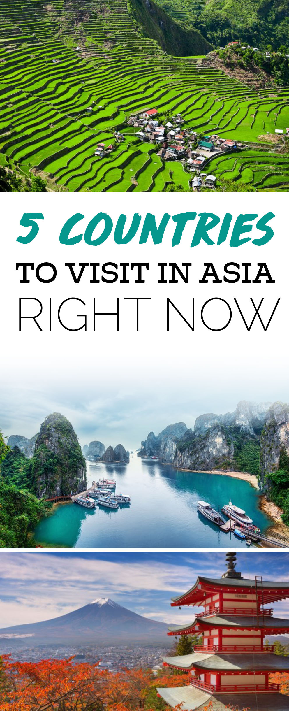 5 Countries To Visit In Asia Right Now - Society19