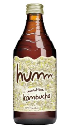 The 5 Top Kombucha Brands You Need To Try - Society19