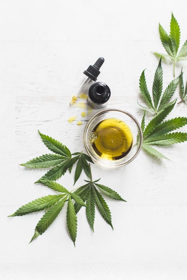 What You Need To Know About CBD Oil - Society19