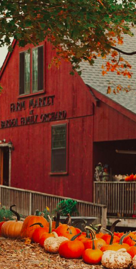 7 Fun Fall Activities In New Jersey - Society19